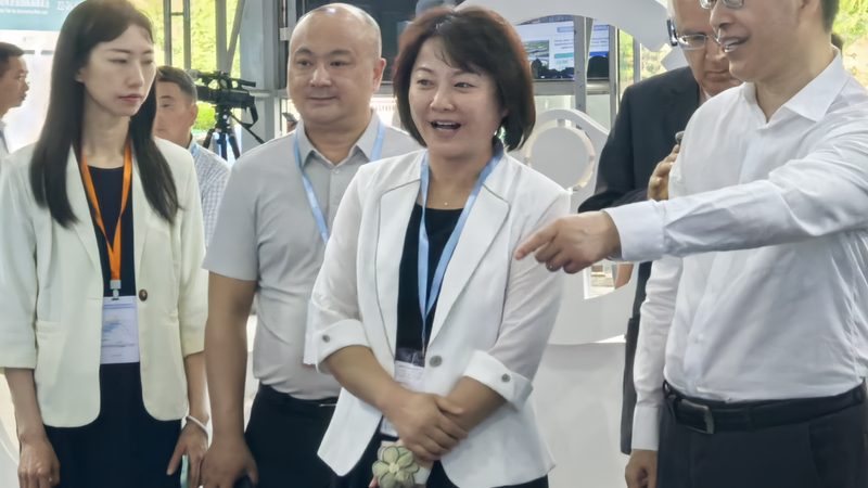 刹车蹄片：揭秘其重要性及十大品牌推荐